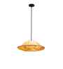 ORONYO-PARIJAT  | Handcrafted Pendant Lamp | E27 holder } with Bulb | RIPPL Lighting